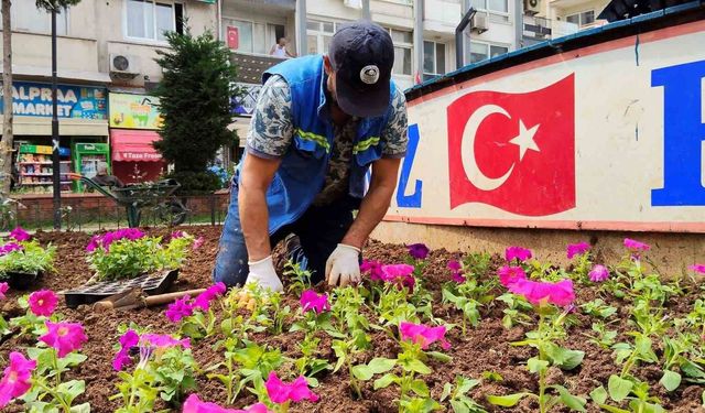 Akdeniz'de parklar bahara hazır: 50 bin çiçek toprakla buluşacak