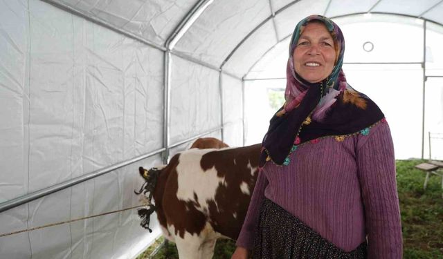 Hayriye Teyze'nin yüzü devlet desteğiyle güldü