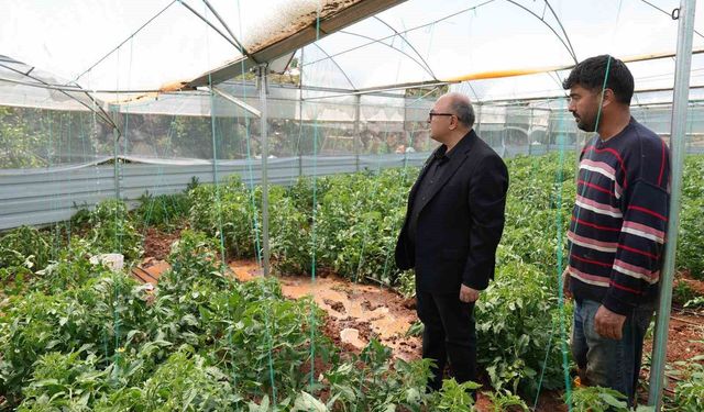Dolu, sebze tarlaları ve meyve bahçelerine zarar verdi