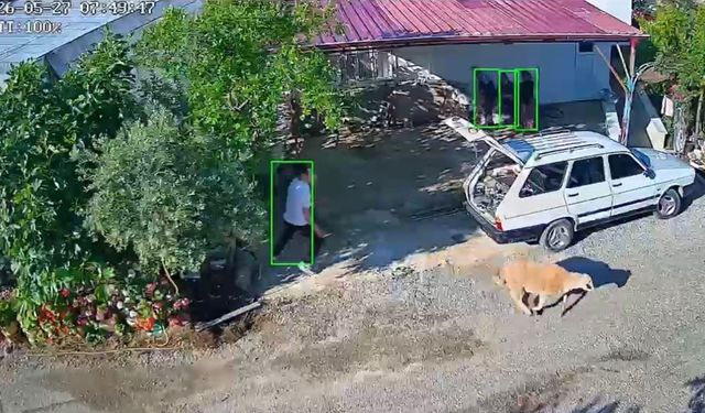 Kurbanlıklar kaçtı, bayram neşesi kameralara yansıdı
