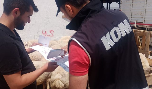 Niğde'de ekipler sahte para tuzağına karşı sahaya indiler