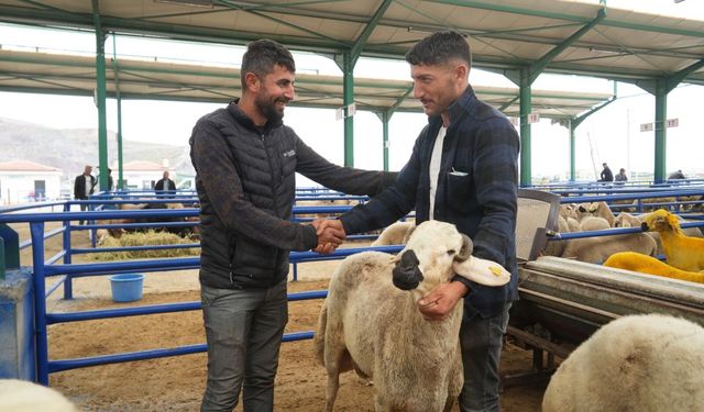 Bor'da hayvan pazarında bayram bereketi yaşanıyor