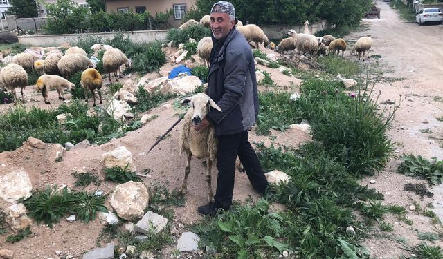 Niğde’de kurbanlık uyarısı: “Hayvanı görmeden almayın”