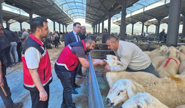 Niğde’de kurban pazarında sıkı denetim