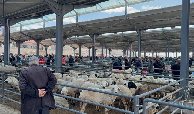 Niğde’de kurban pazarı hareketlendi: Besici de alıcı da pazarda