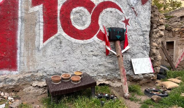 Niğde’de esnaftan sokak kedilerine anlamlı destek