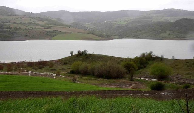 Yağışların bilançosunu Başkan Arslan açıkladı