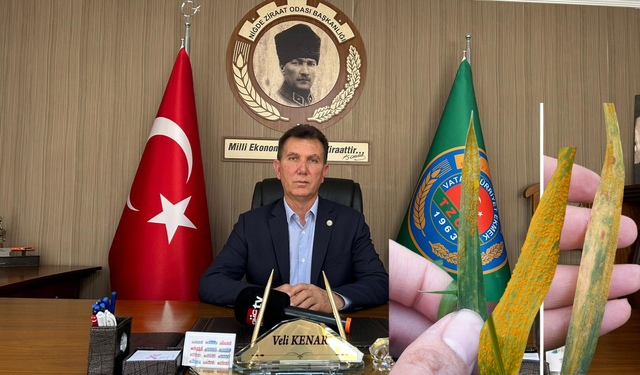 Niğde buğday üreticilerine “sarı pas” uyarısı