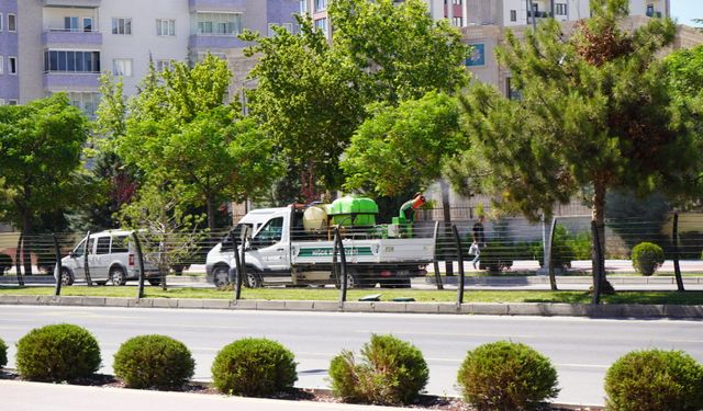 Niğde Belediyesi’nden Bor Yolu’nda ilaçlama çalışması