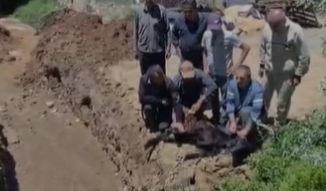 Kılavuz Köyü’nde şükür duası yapıldı