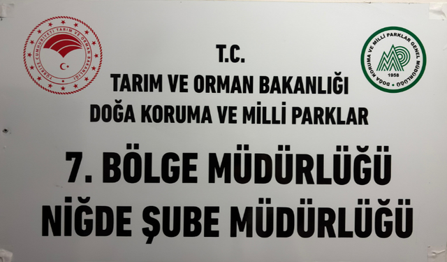 Niğde’de o türlere av yasağı getirildi!