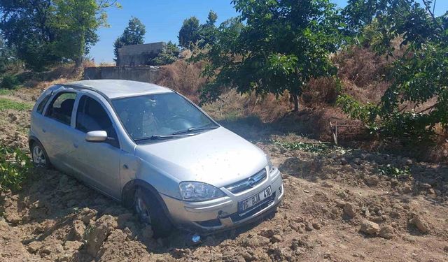 Kontrolden çıkan otomobil meyve bahçesine uçtu