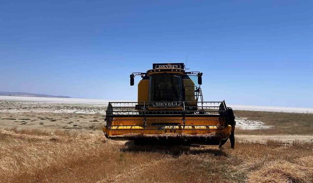 O ilçede arpa hasadı başladı