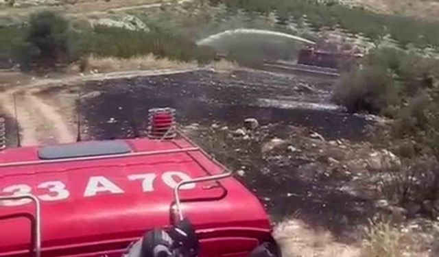 6 dekar bahçe yangında zarar gördü