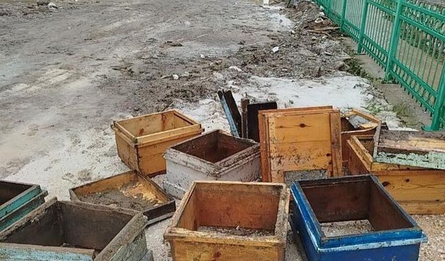 Arıcının umudu sele teslim oldu: 80 kovan zarar gördü