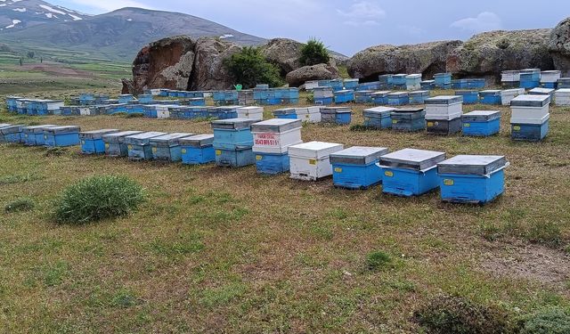 Çamardı Üçkapılı Köyü’nde bal sezonu başladı