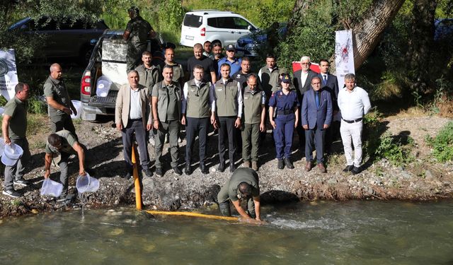 Ecemiş Çayı’na 15 bin alabalık yavrusu bırakıldı