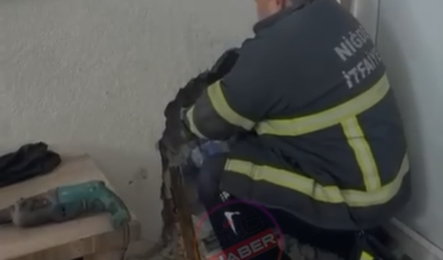 Niğde’de duvar arasına sıkışan kediyi itfaiye kurtardı