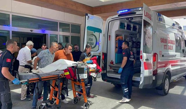Köpek deh*şeti: 3 yaşındaki çocuk ağır yaralandı