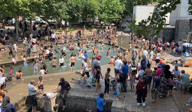 Kavurucu sıcaktan soluğu süs havuzunda aldılar