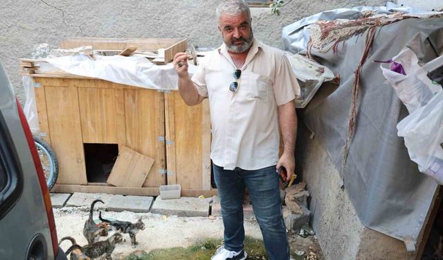Kedi maması çalan hırsız vatandaşı canından bezdirdi