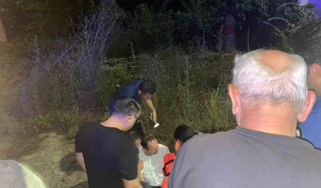 Kedilere süt verirken bahçeye düştü