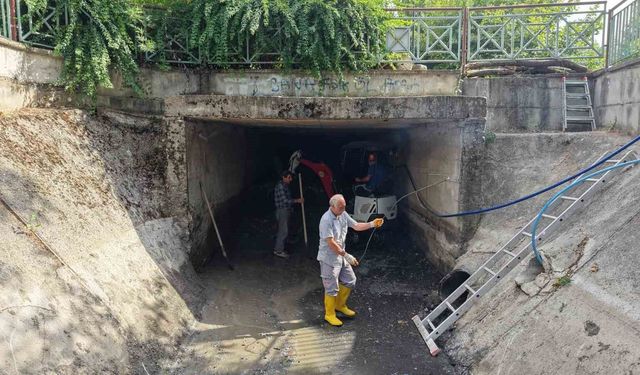 Derelerinde koku ve kirliliğe karşı kapsamlı temizlik