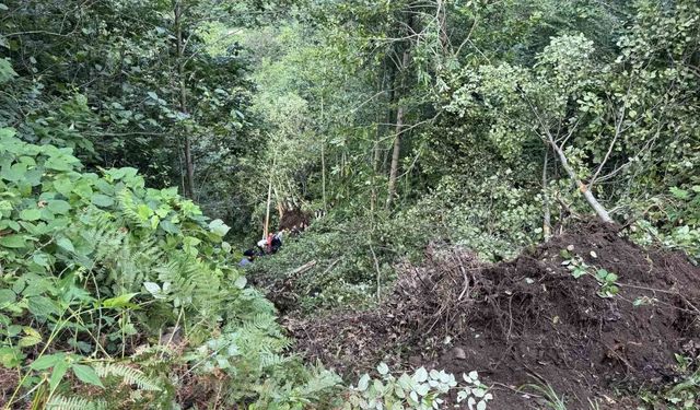 Uçuruma yuvarlanan iş makinesinin operatörü yaralandı