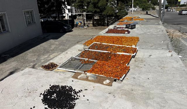 Niğde'de meyveler güneşte kışa hazırlanıyor