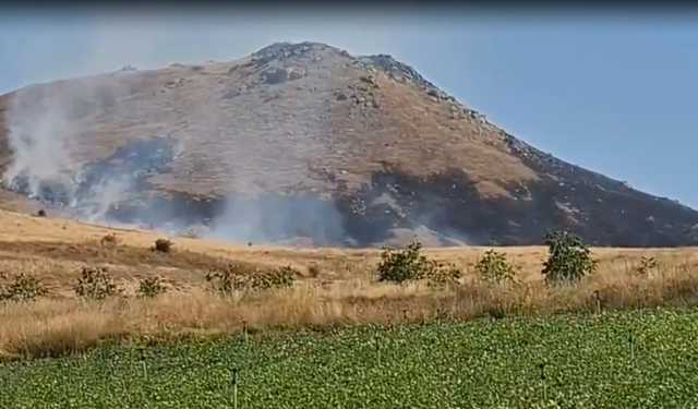 Niğde'de dağlık alanda ot yangını