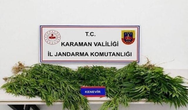 Jandarmanın yakaladığı 34 şahıstan 4'ü tutuklandı