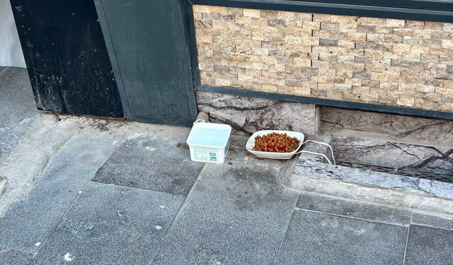 Sokak hayvanları için esnaftan örnek davranış
