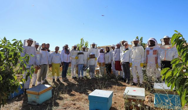 Vali Akmeşe, Niğde Geven Balı için kovan başında