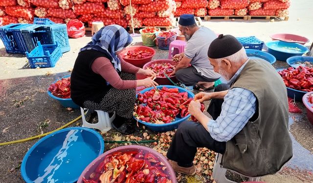 Niğde’de kışlık salça mesaisi başladı