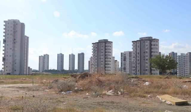 Cırcır böceği sesleri vatandaşları uyutmuyor