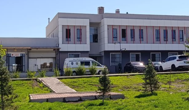 Yolun karşısına geçerken otomobil çarpan yaşlı adam öldü