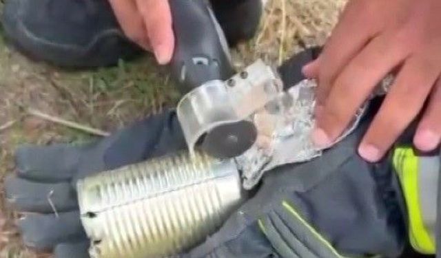 Kafasını konserve kutusuna sıkıştıran kediyi itfaiye kurtardı
