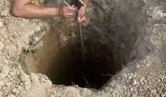 Şantiyedeki kuyuya düşen köpeği itfaiye kurtardı
