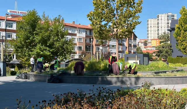 Niğde Belediyesi binası önünde peyzaj çalışması