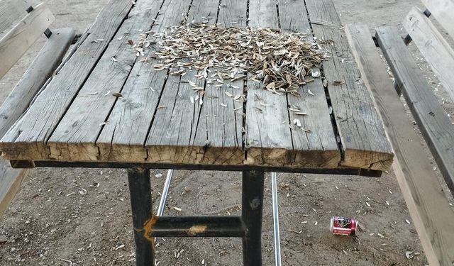 Niğde’de çocukların parkı çöplüğe döndü!
