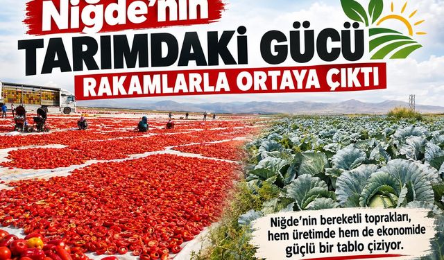 Niğde’nin tarımdaki gücü rakamlarla ortaya çıktı