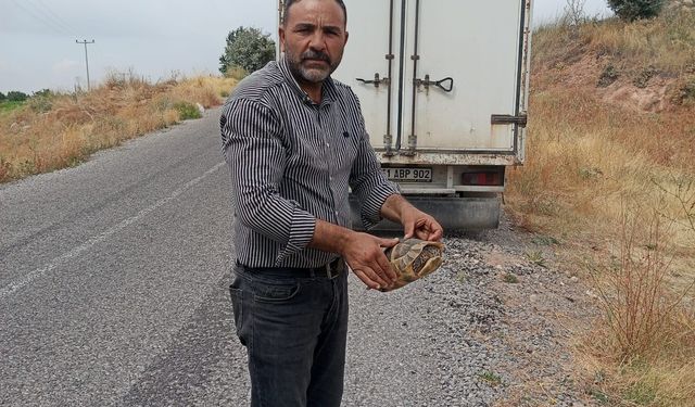 Yolda karşısına çıktı, hemen durdu