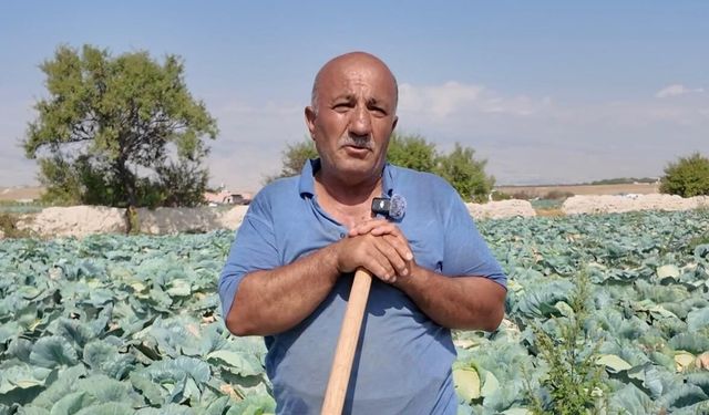 Niğde’de tarlada 30 lira, pazarda 200 lira!