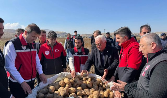 Niğde’de 3 yerli patates çeşidinin hasadı yapıldı