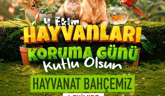 Başkan Büyükkılıç: 'Hayvanat bahçesi ücretsiz'