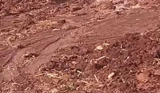 Çamura saplanan eşeği itfaiye ekipleri kurtardı