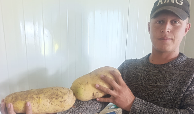 Niğde’de 5 kilo 550 gramlık dev patates şaşırttı
