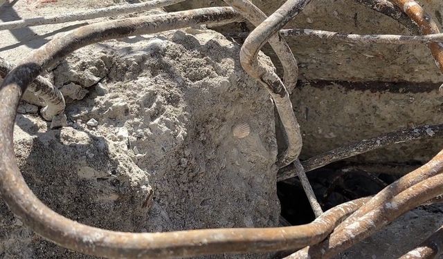 Çöken binanın beton örneklerinde deniz kabuğu görüldü