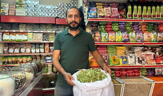 Niğde’de kilosu 2 bin liradan satılıyor