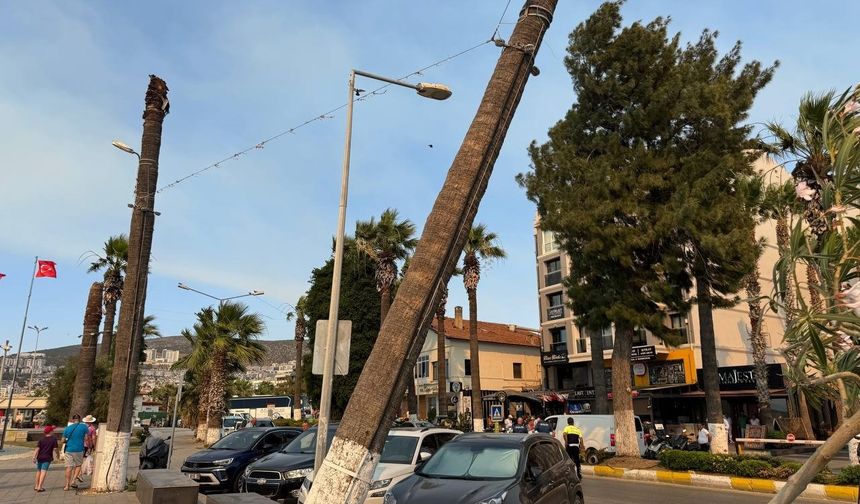 Kuşadası’nda Az Kalsın Facia Oluyordu. Ucuz Atlatıldı